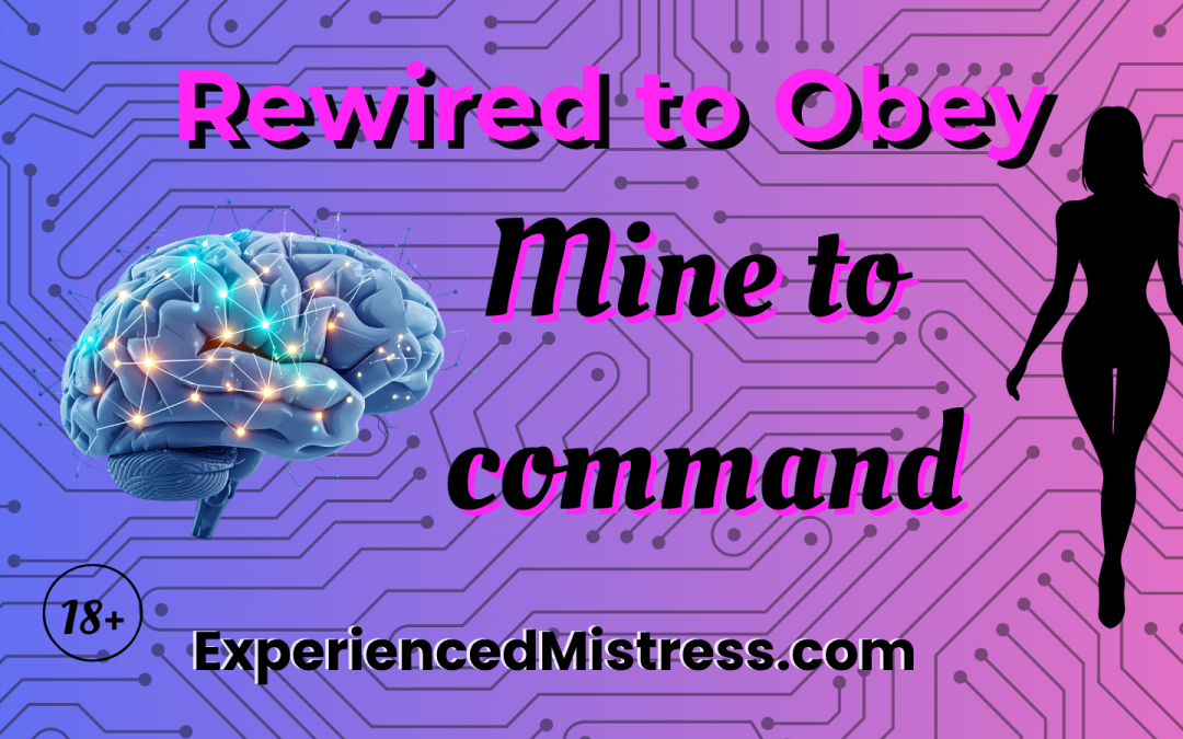 Graphic image with the words Rewired to Obey: feminization transformation story. The background is gradient blue to lavender with a graphic image of a brain on the left side and a silhouette of a woman on the right side representing the rewiring of his brain from male to female by his Experienced Mistress Olivia. The words on the graphic are: Rewired to Obey - Mine to Command.