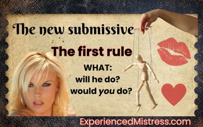 The New Submissive: The First Rule