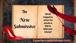 graphic. Words on an image of an open book. The New Submissive: What happens when he sends a DM to Mistress Olivia